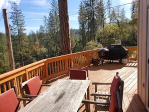 Outdoor dining - Serenity View, Peaceful & Cheerful 3BD Cabin. (Groveland)