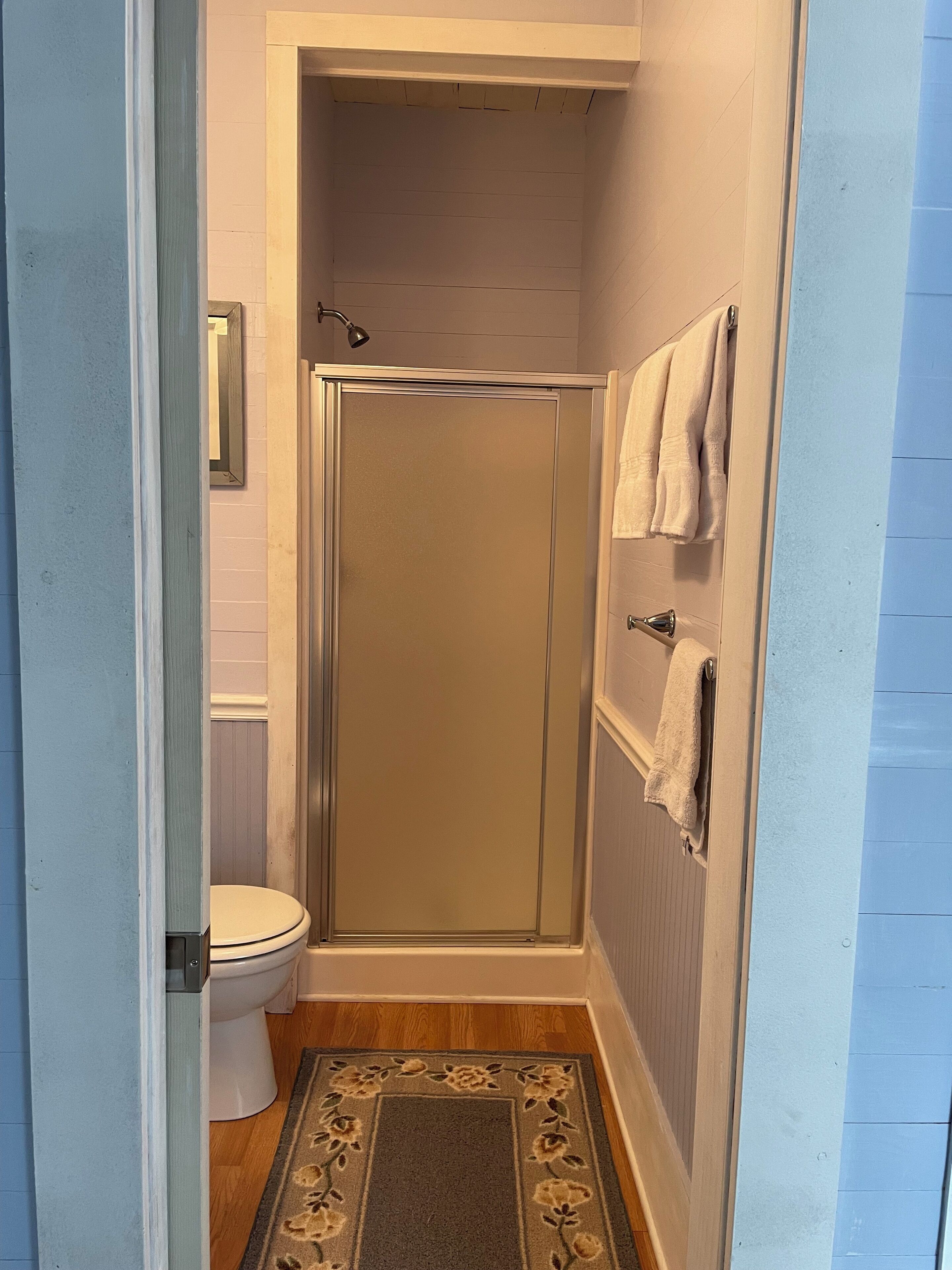 Une salle de bain avec une douche, des toilettes et un tapis.