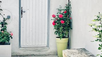 DĂ©tail de lâextĂ©rieur