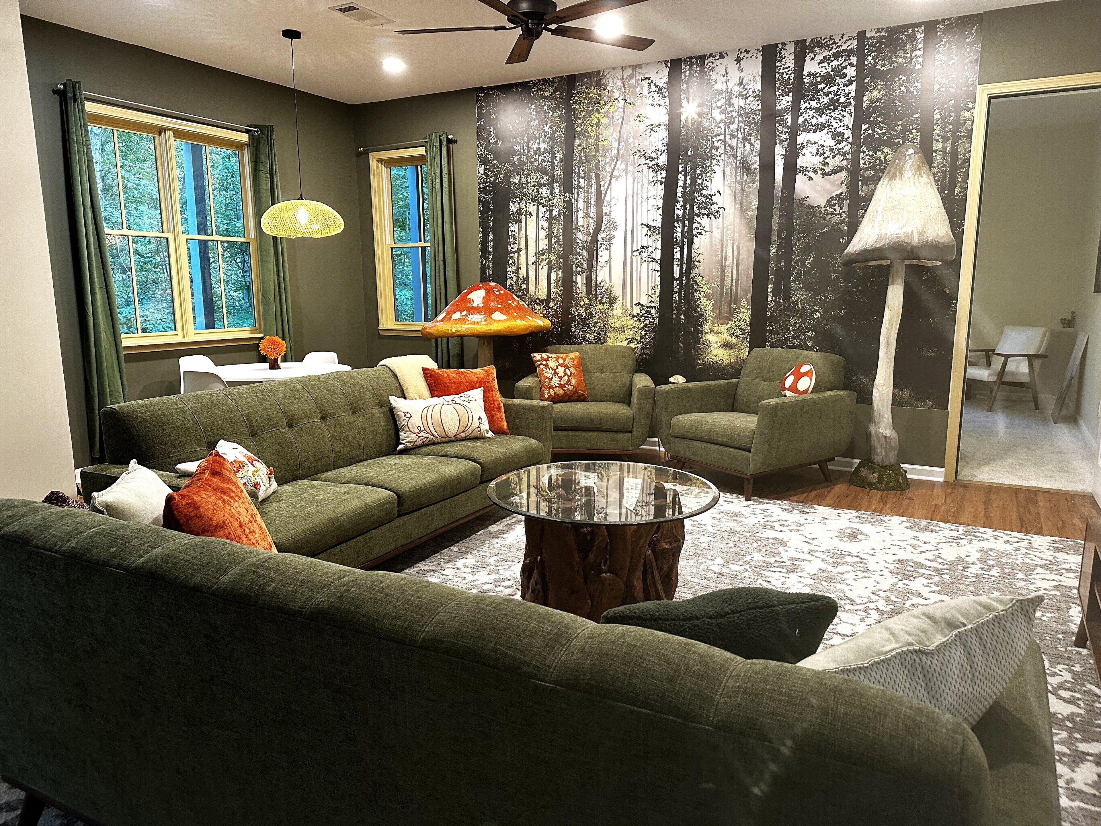 Smart TV, fireplace, books