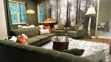 Smart TV, fireplace, books