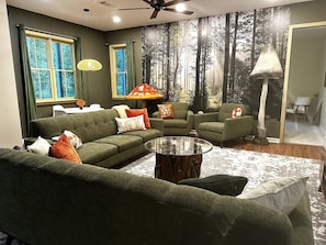 Smart TV, fireplace, books