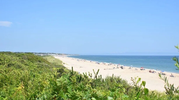 Une plage avec un ciel dégagé, un rivage sablonneux et une végétation clairsemée.