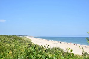 A beach with a clear sky, sandy shore, and sparse vegetation.