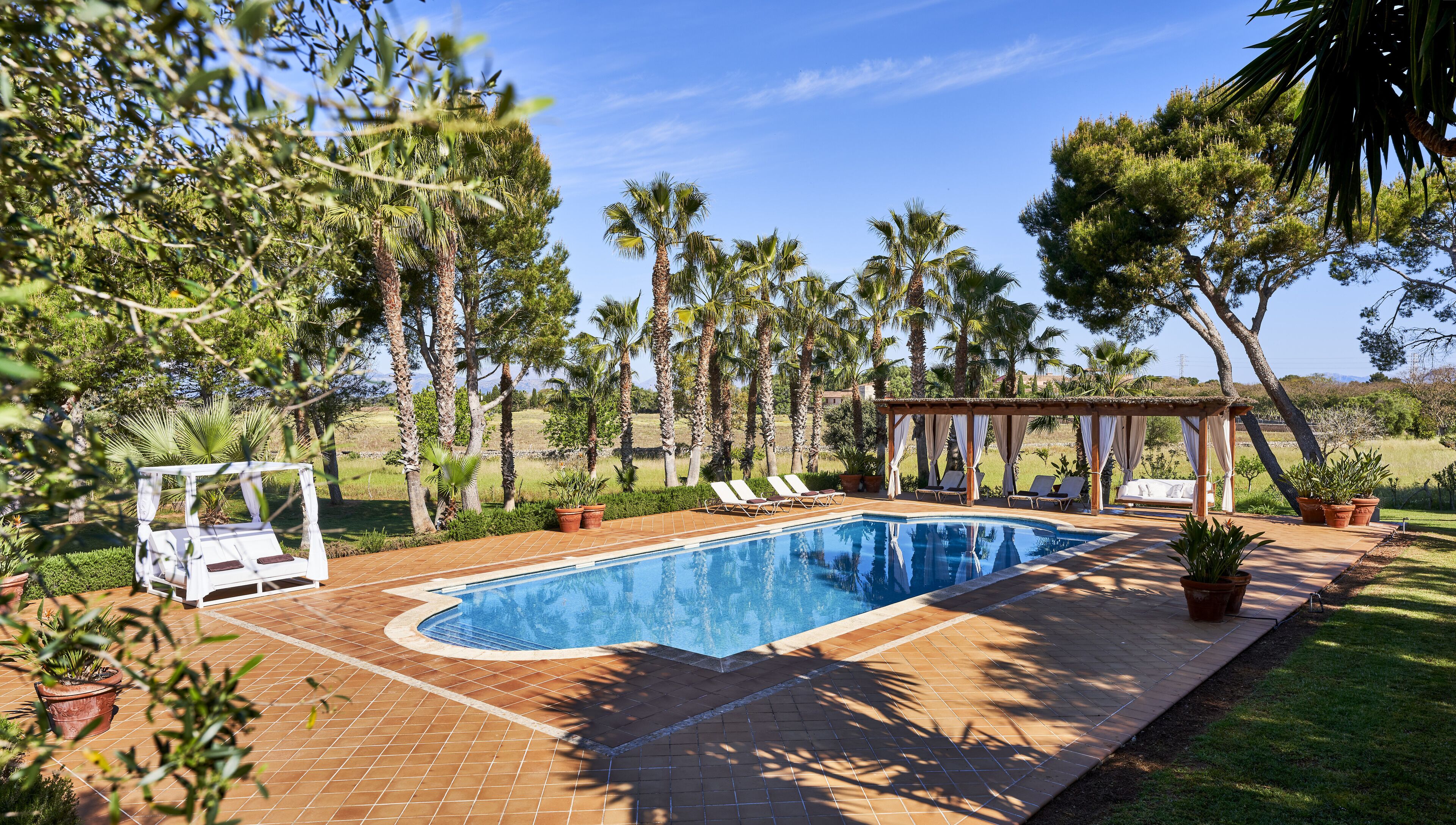 A swimming pool with lounge chairs and a pergola, surrounded by palm trees and a grassy area.