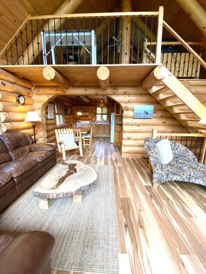 TV, fireplace, video games, DVD player