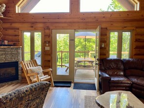 Televisión, chimenea, videojuegos y reproductor de DVD 