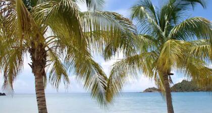 2 min Walk from Beach Luxury Waterfront Villa South Finger Jolly Harbour