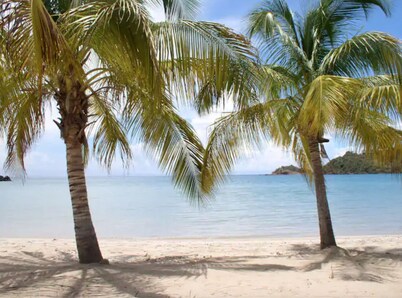 2 min Walk from Beach Luxury Waterfront Villa South Finger Jolly Harbour 