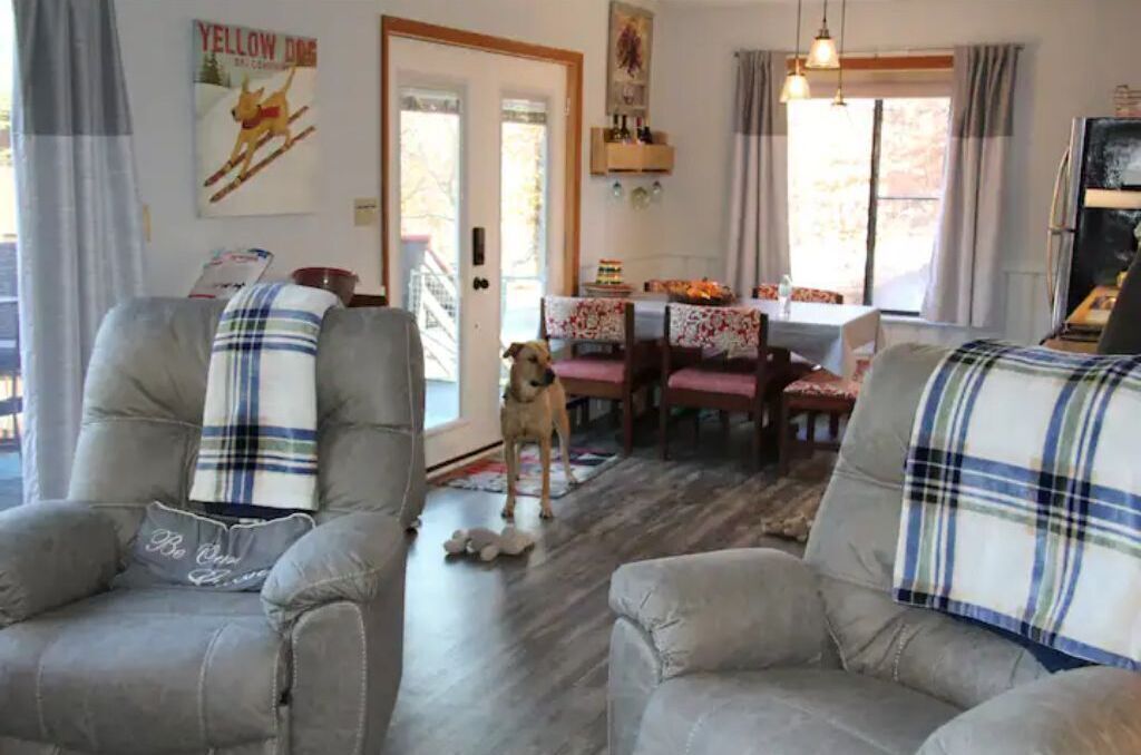 Un salon avec deux fauteuils gris, un chien et un coin repas comprenant une table et des chaises.