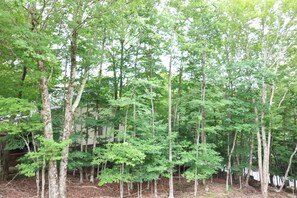 Terrain de l’hébergement