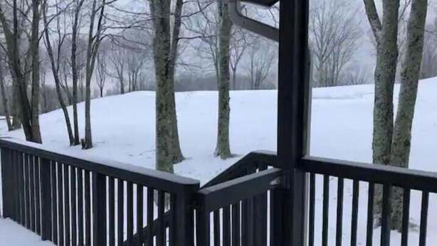 A wooden deck with a snow-covered landscape and bare trees in the background.