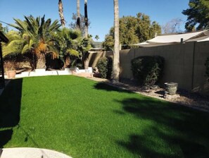 Property grounds - Scottsdale Saltwater Pool Sanctuary! (Scottsdale)
