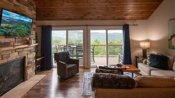 Télévision, cheminée, espaces bureaux