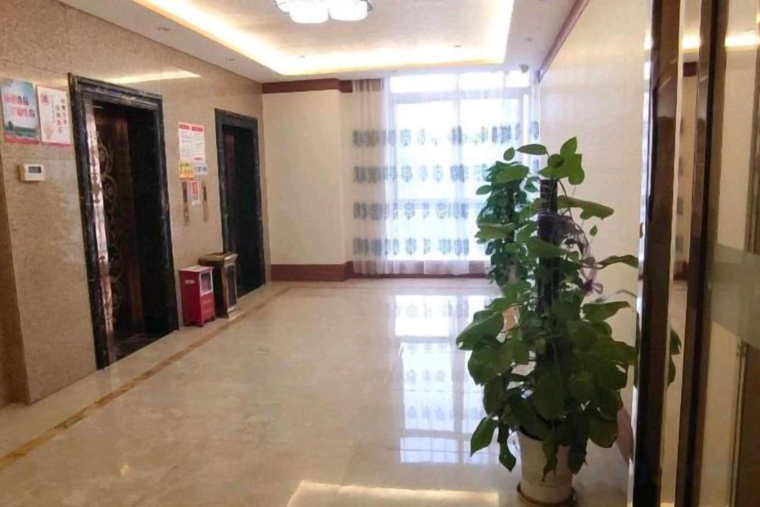 A hotel hallway with a potted plant, doors, and a window with curtains.