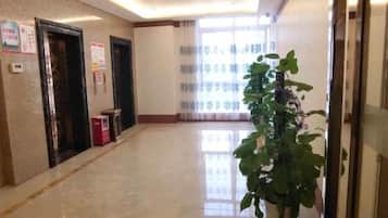 A hotel hallway with a potted plant, doors, and a window with curtains.