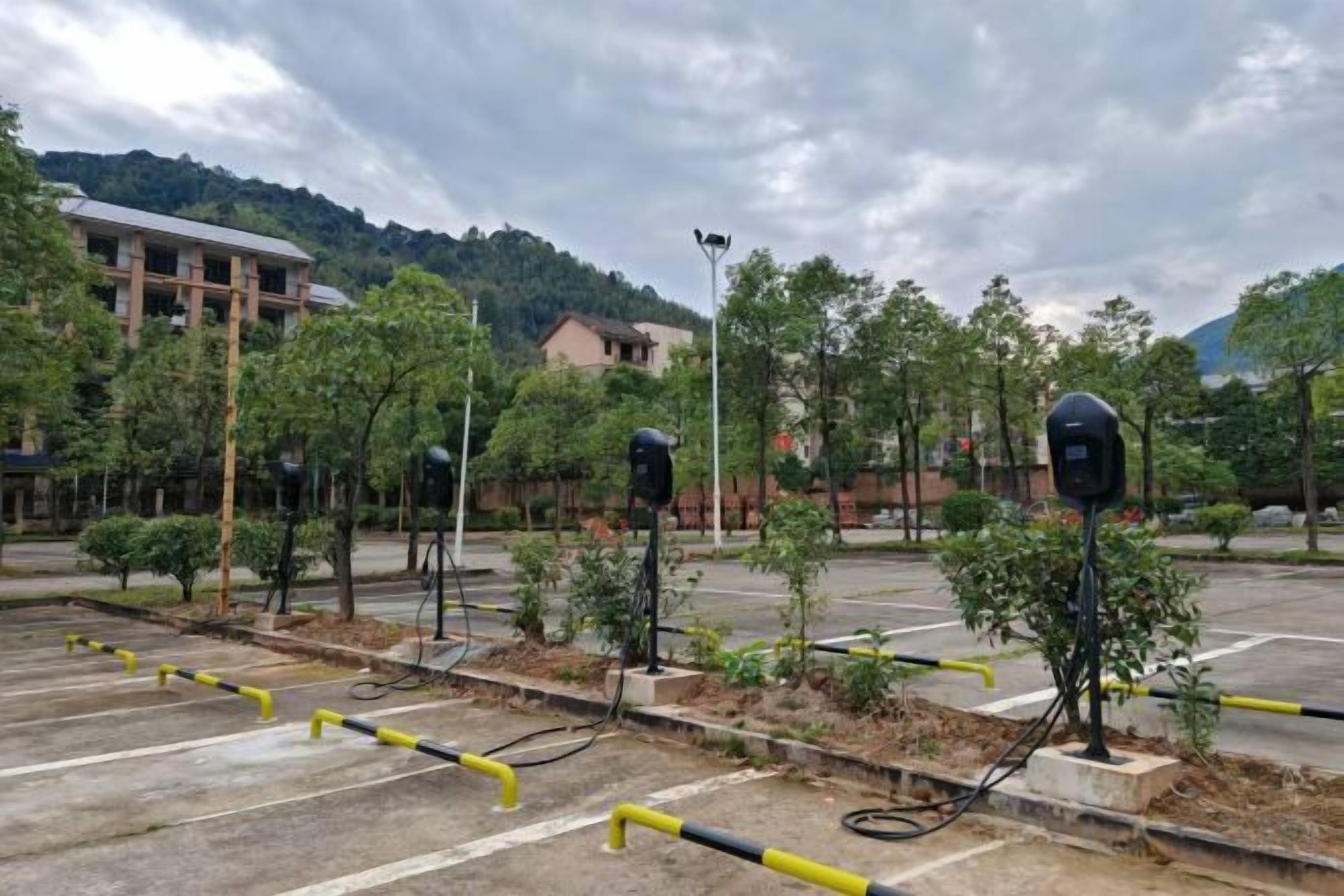 Un parcheggio con diversi parcometri, alcuni alberi e un edificio sullo sfondo.