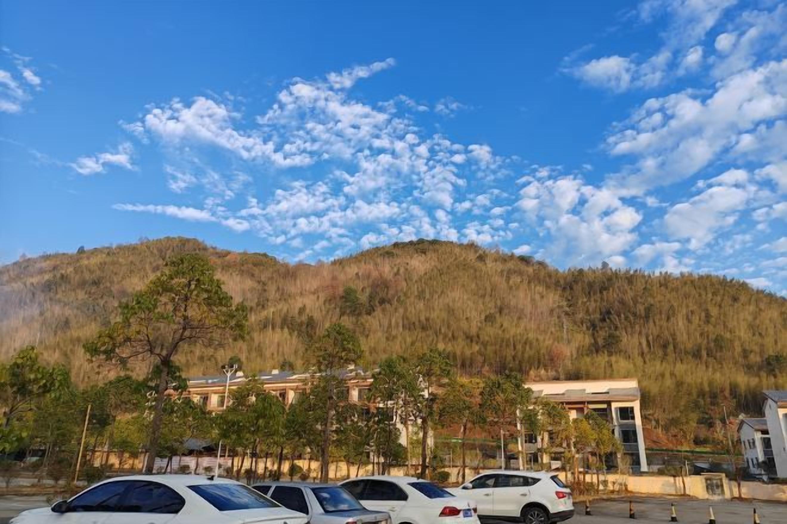 A parking lot with several cars, a building with a flat roof, and a forested hill in the background.