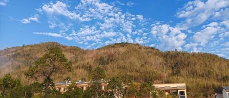 A parking lot with several cars, a building with a flat roof, and a forested hill in the background.