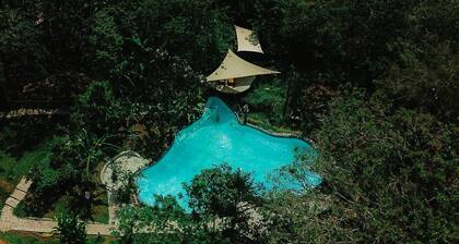 Cerro Tusa Springs