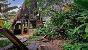 A rustic cabin with a thatched roof, surrounded by dense tropical foliage. - Cerro Tusa Springs (Venecia)