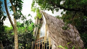 A treehouse with a thatched roof, built into a rock formation, surrounded by dense foliage. - Cerro Tusa Springs (Venecia)