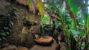 A rustic stone wall with a thatched roof, a stone basin, and lush tropical foliage. - Cerro Tusa Springs (Venecia)