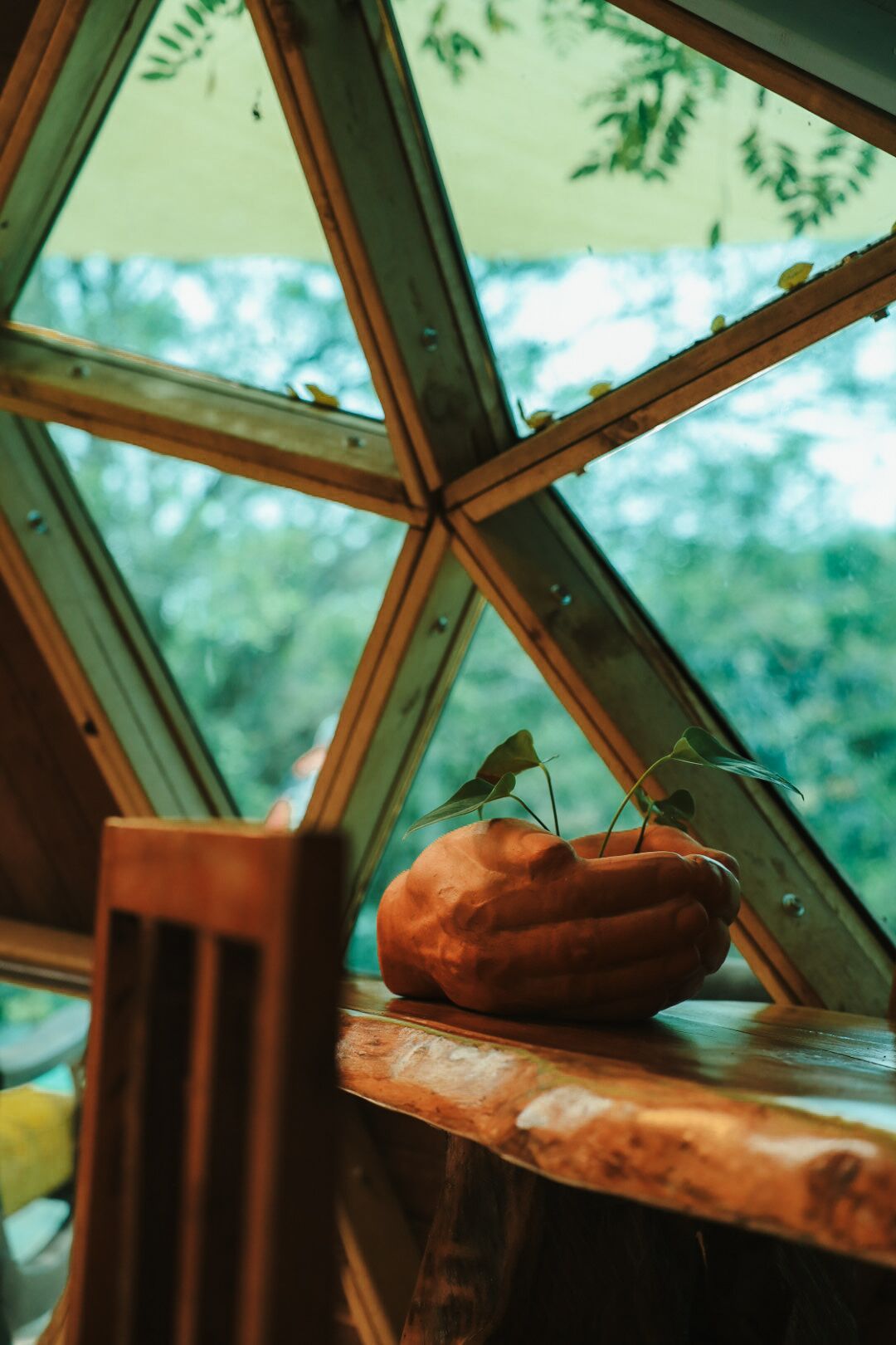 A wooden chair and a terracotta pot with a plant on a wooden table inside a room with a large window.