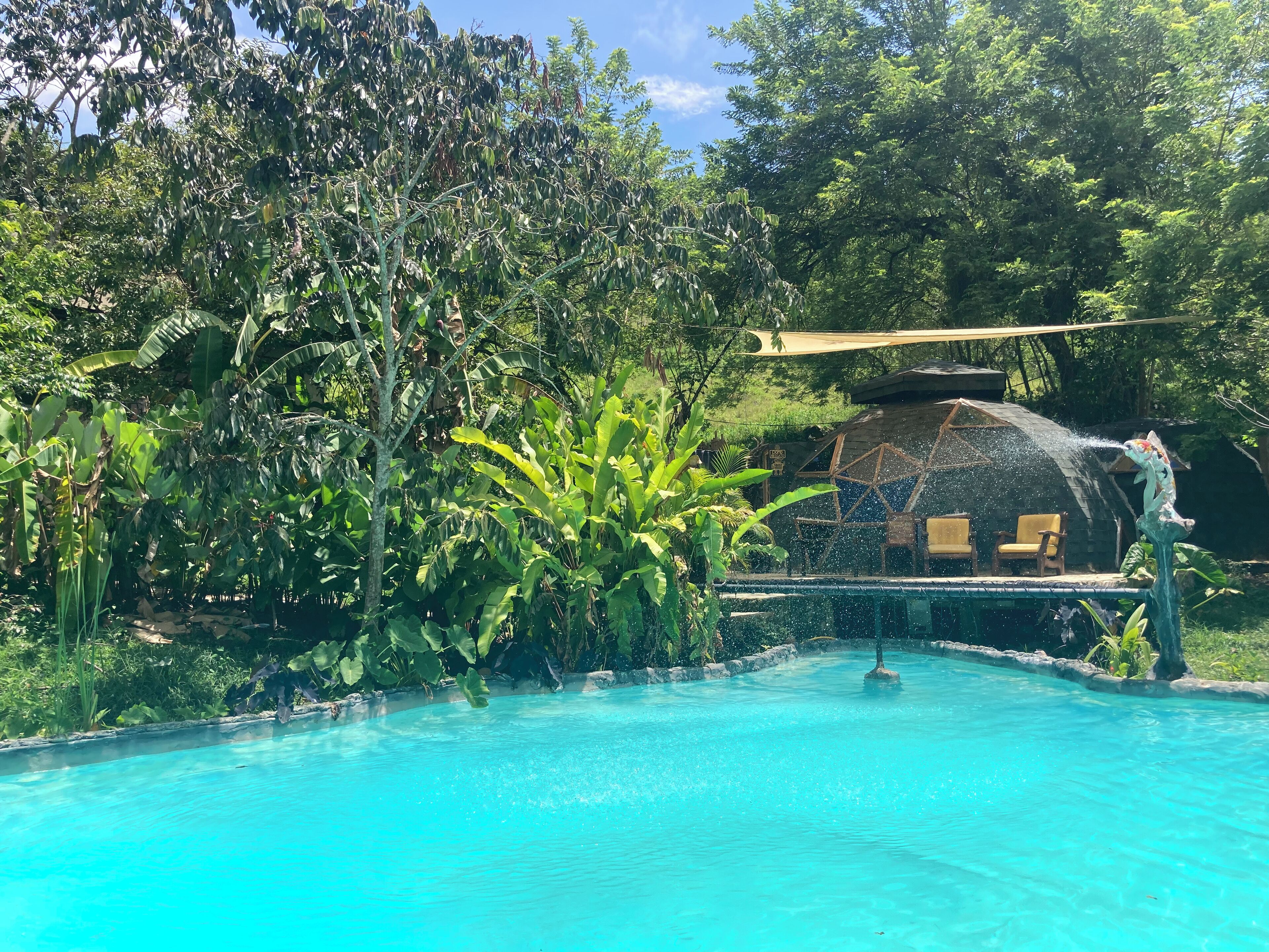 A pool surrounded by lush greenery and a gazebo with chairs.