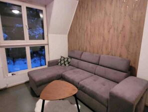 Smart TV, fireplace, books, stereo