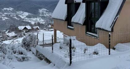 Chalet-style house in the heart of nature