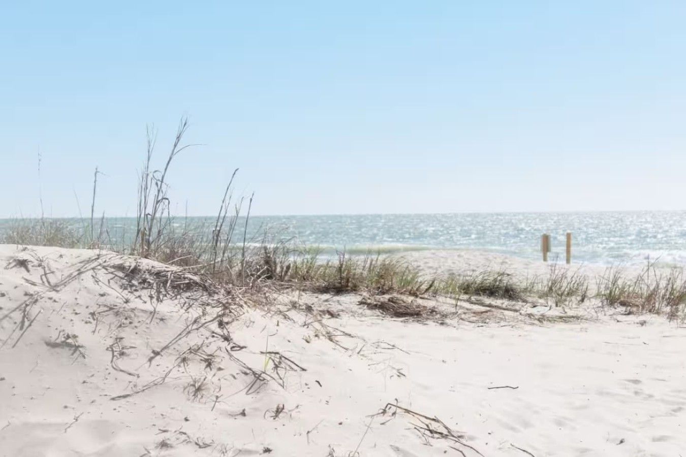 A beach with sand dunes and a clear view of the ocean.