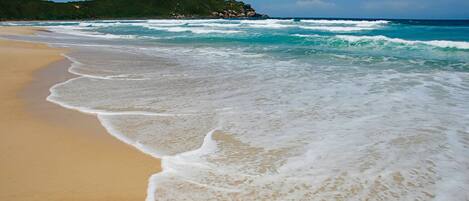 Vlak bij het strand, wit zand