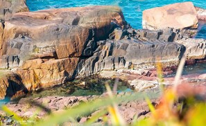Una costa rocosa con agua cristalina.