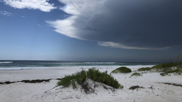 Uma praia com areia, grama e o oceano sob um céu nublado.