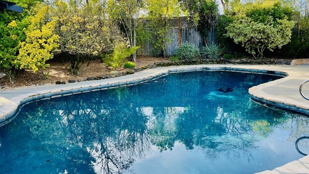 A clear swimming pool with a stone border, surrounded by various trees and shrubs. - Family Retreat in the Heart of Wine Country  (Santa Rosa)