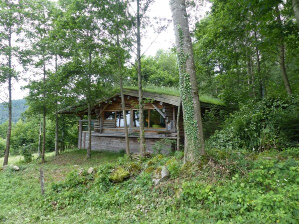 A rustic cabin surrounded by dense forest.
