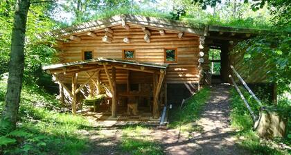 Unusual, secluded log cabin in the Vosges with luxury spa