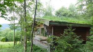 A rustic cabin with a green roof, surrounded by dense forest.