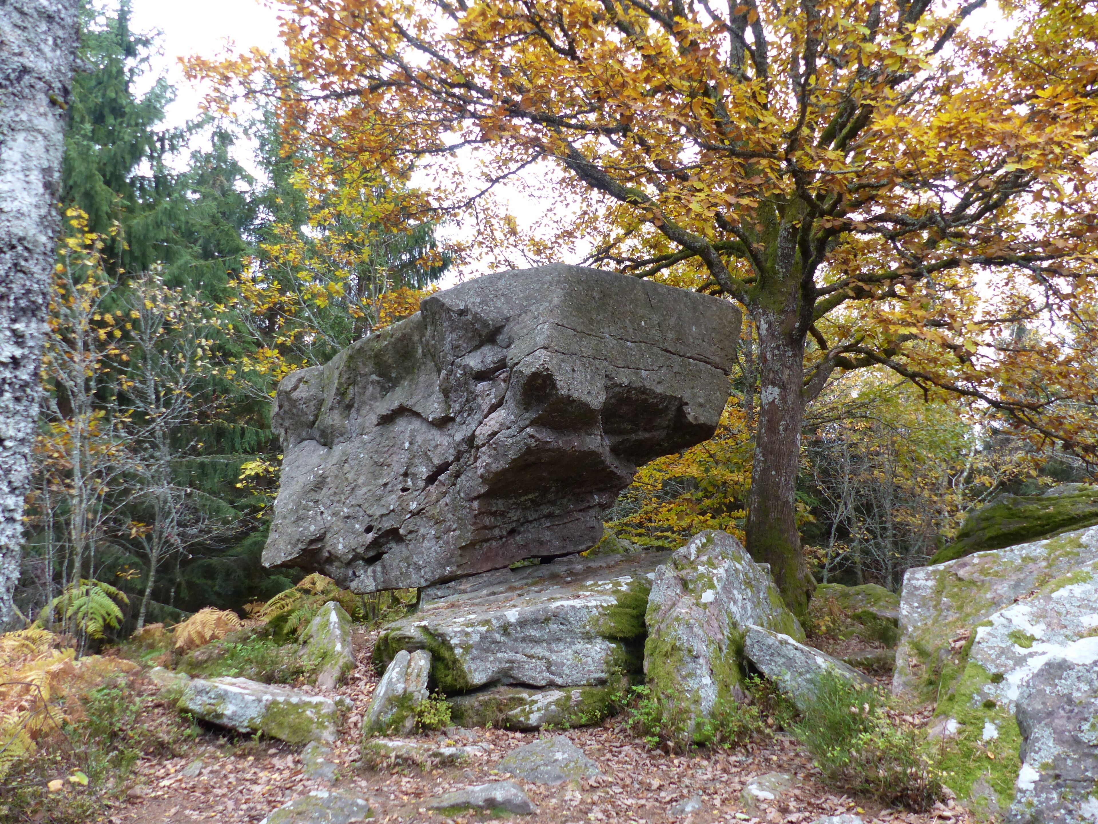 A large rock formation surrounded by trees with autumn foliage.