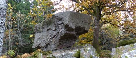 A large rock formation surrounded by trees with autumn foliage.