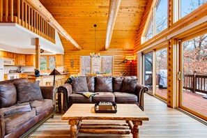 TV, fireplace, books