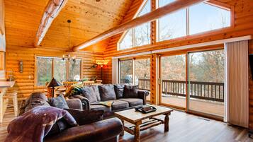 Télévision, cheminée, livres