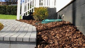 A house with a white exterior, a front porch with white railings, and a brick pathway leading to the entrance. - Mall St · Cozy Haven In The City W/Deck <5 min to DT Knox (Knoxville)