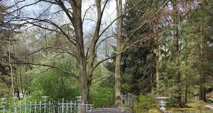 Living on the edge of the "Thuringian Forest" nature reserve in Spindler Villa