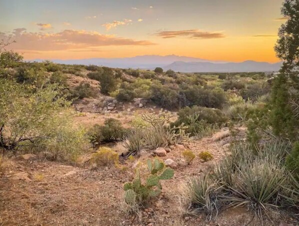 Paisaje desértico con vegetación escasa y montañas a lo lejos.