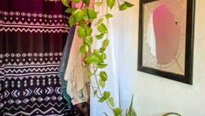 Une pièce décorée avec une grande plante suspendue, un tableau abstrait encadré et des rideaux à motifs.