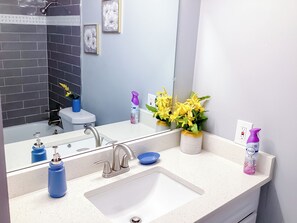 Shower, towels, toilet paper