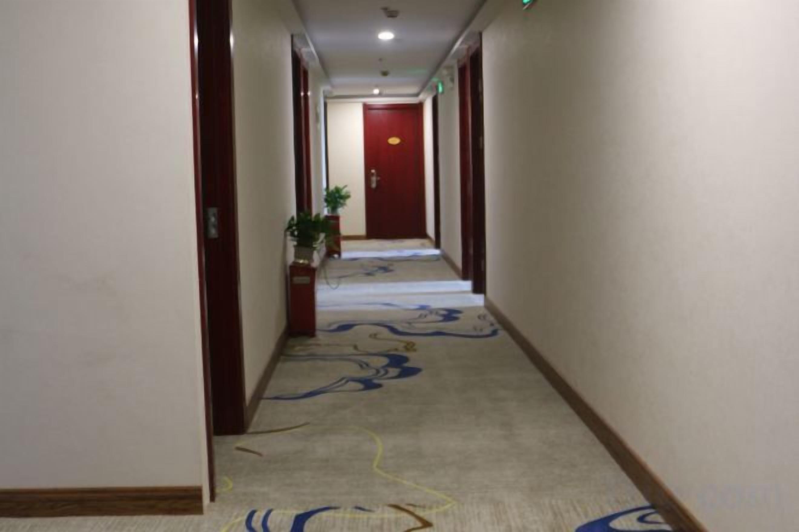 A hotel corridor with carpeted floors, doors on both sides, and a plant in the center.