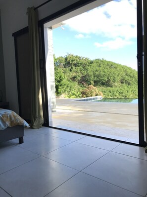 2 bedrooms, iron/ironing board, WiFi, bed sheets - splendid villa with its infinity pool offering you a view of nature (Las Terrenas)